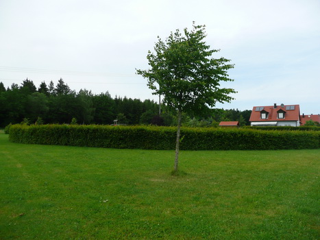 flachslanden_07