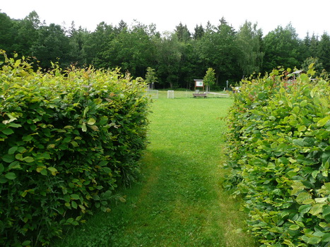 flachslanden_10