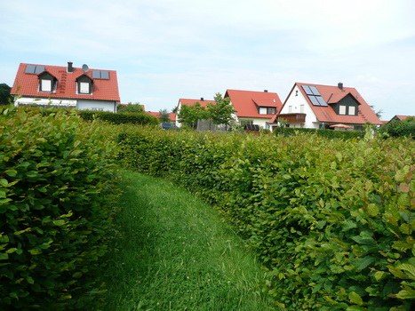 flachslanden_11
