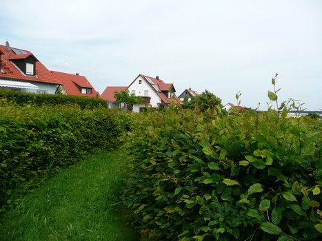 flachslanden_12