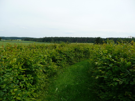 flachslanden_13