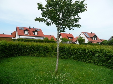 flachslanden_18