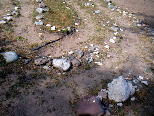 folhammar_08