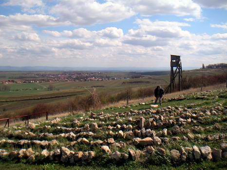 framersheim_13