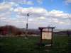 framersheim_03