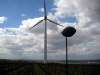 framersheim_05