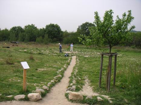 freudenberg_19