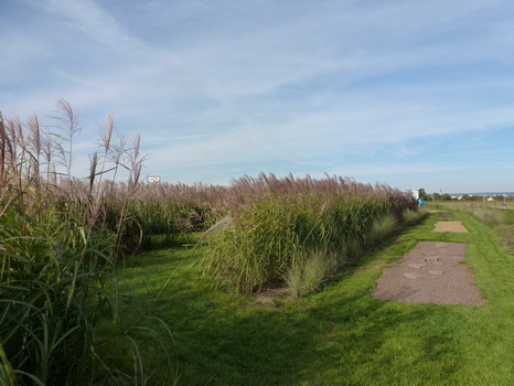radweg_2013_10_03_09
