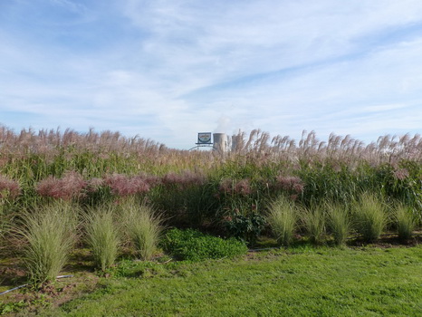 radweg_2013_10_03_11