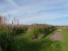 radweg_2013_10_03_09