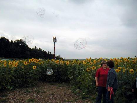 greiz_25