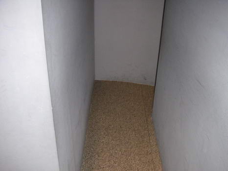 guggenheim_11