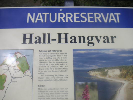 hallshuk_01