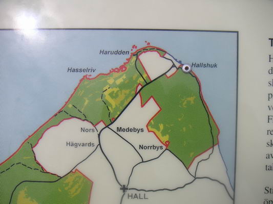 hallshuk_03