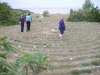 hallshuk_09