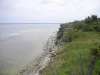 hallshuk_20