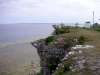 hallshuk_21