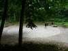 heimbach_08