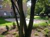 hoesbach_14