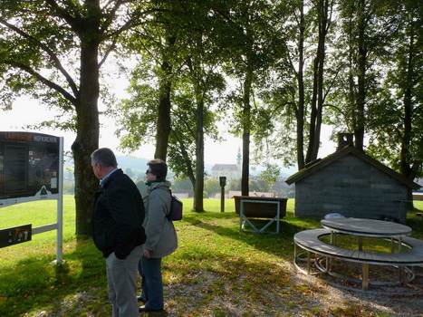 hoki_pflanz_06