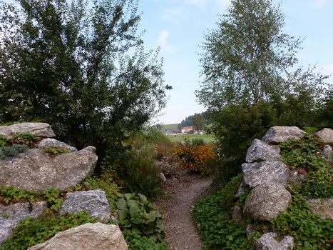 hoki_pflanz_08