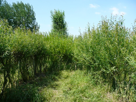 ijsselstein_11
