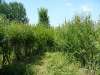 ijsselstein_11