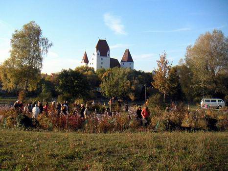 ingolstadt_15