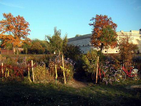 ingolstadt_16