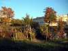 ingolstadt_16