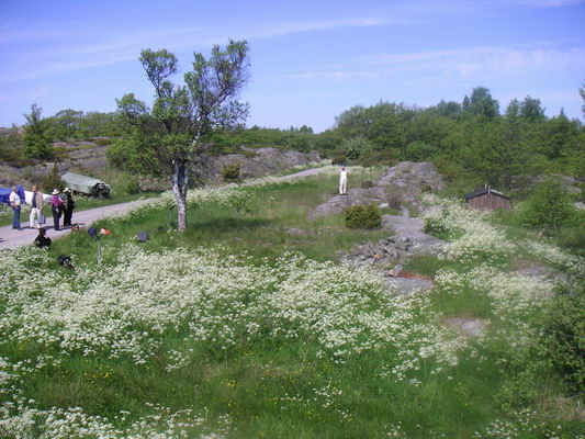 landsort_11
