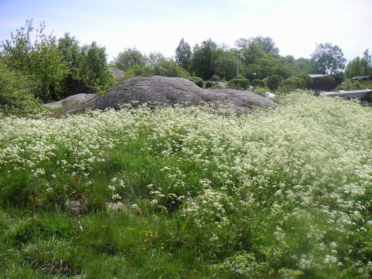 landsort_22