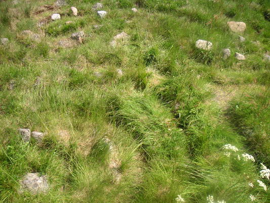 landsort_24