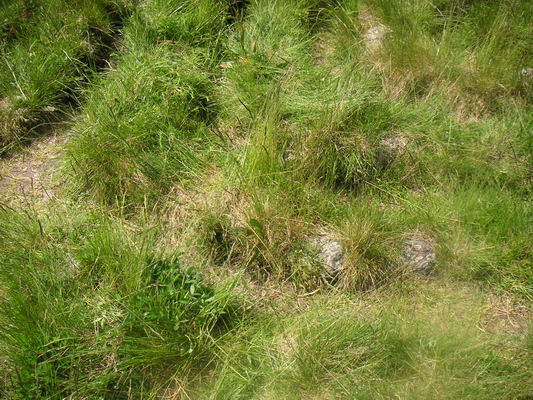 landsort_27