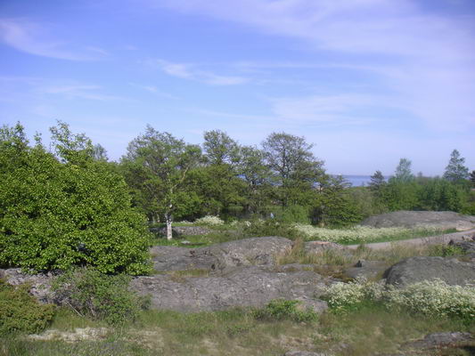 landsort_40