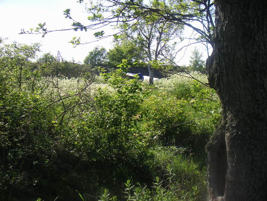 landsort_41