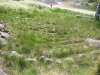 landsort_28