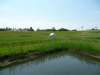 lochem_04