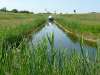 lochem_09