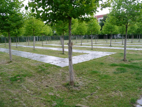 buckau_06