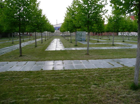 buckau_08
