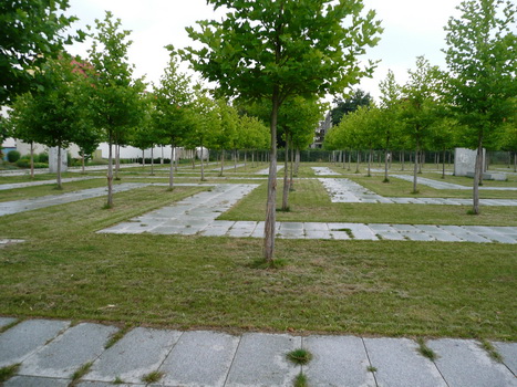 buckau_09