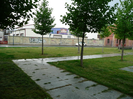 buckau_10