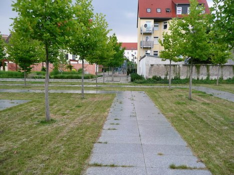 buckau_12