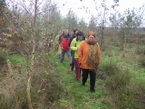 solveigshof_03