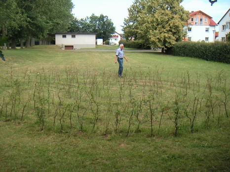rechtenbach_06