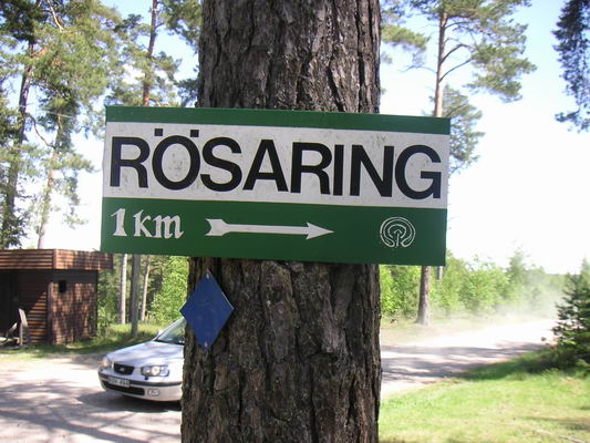 roesaring_02