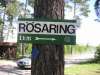 roesaring_02