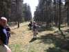 roesaring_07