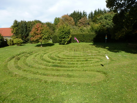 rohrbach_03
